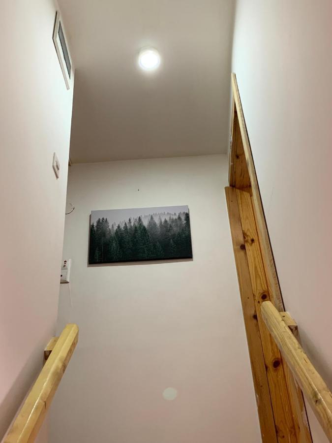 Mountain Vista Chalet Žabljak Exteriér fotografie